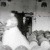 Albury Wedding Photographer Prices and Information. | Corowa-Whisky-and-Chocolate-Factory-Weddings-Cassandra-Callum-0026.jpg