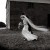 Albury Wedding Photographer Prices and Information. | Albury-Weddings-0071.jpg