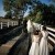 Albury Wedding Photographer Prices and Information. | Albury-Weddings-0072.jpg