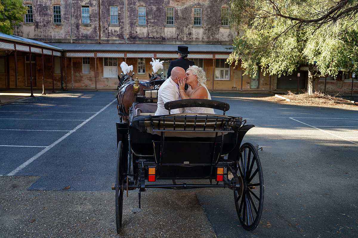 Colonial Clydesdales & Carriages Wedding | Horse & Carriage Hire NSW & VIC | AllSaintsPhotographyAlbury1009.jpg