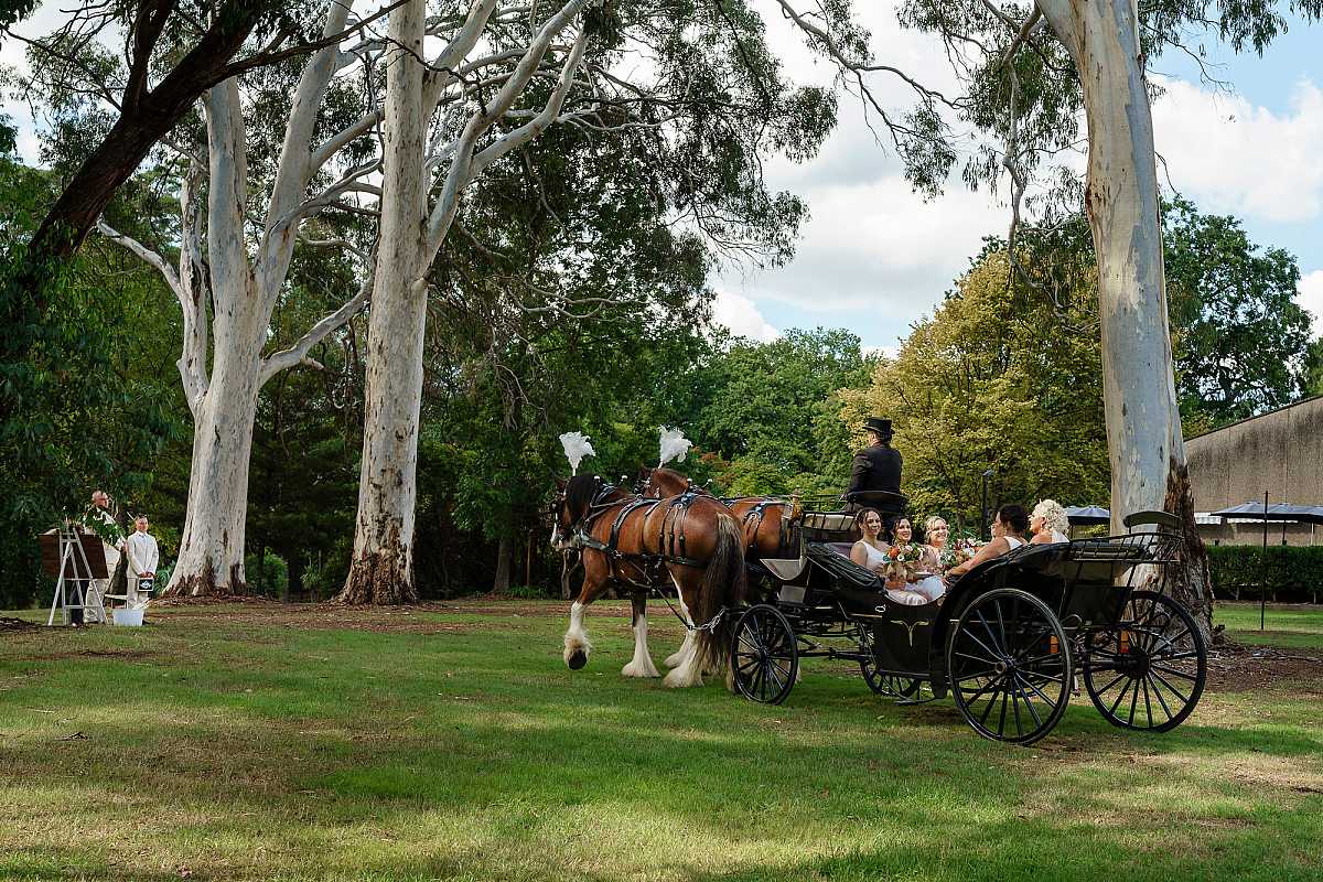 Colonial Clydesdales & Carriages Wedding | Horse & Carriage Hire NSW & VIC | AllSaintsPhotographyAlbury1004.jpg