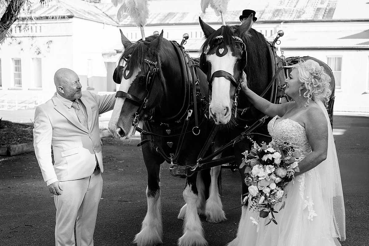 Colonial Clydesdales & Carriages Wedding | Horse & Carriage Hire NSW & VIC | AllSaintsPhotographyAlbury1008.jpg