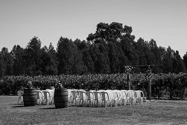 Cofield Wines