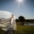Erin & Joshua’s Wedding at St. Mary’s | Myrtleford Wedding Photographers | 00554.jpg