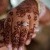Sharduli and Evan's wedding at All Saints Estate | Rutherglen Wedding Photographers  | 00251.jpg