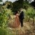 Sharduli and Evan's wedding at All Saints Estate | Rutherglen Wedding Photographers  | 00660.jpg