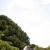 Bianca & Angus's wedding at All Saints Estate | Rutherglen Wedding Photographers  | 0438.jpg