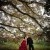 Misha and Paul's Manor House Albury Wedding  | Albury Wedding Photographers  | 0496.jpg