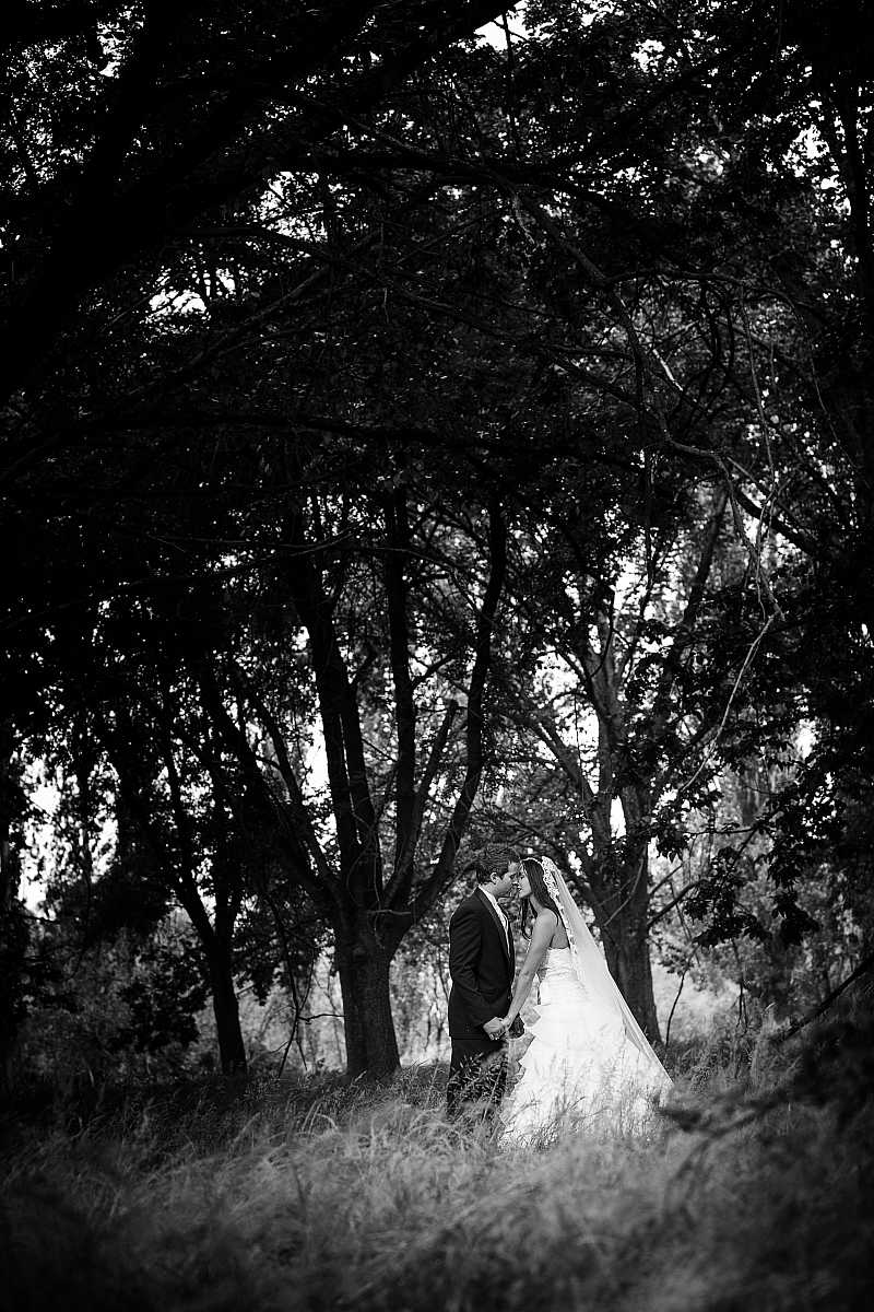 Tara and Travis  Wedding at The Boat Shed Lake Hume | Albury Wedding Photographers  | 00569.jpg