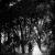 Tara and Travis  Wedding at The Boat Shed Lake Hume | Albury Wedding Photographers  | 00569.jpg