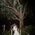 Tara and Travis  Wedding at The Boat Shed Lake Hume | Albury Wedding Photographers  | 01084.jpg