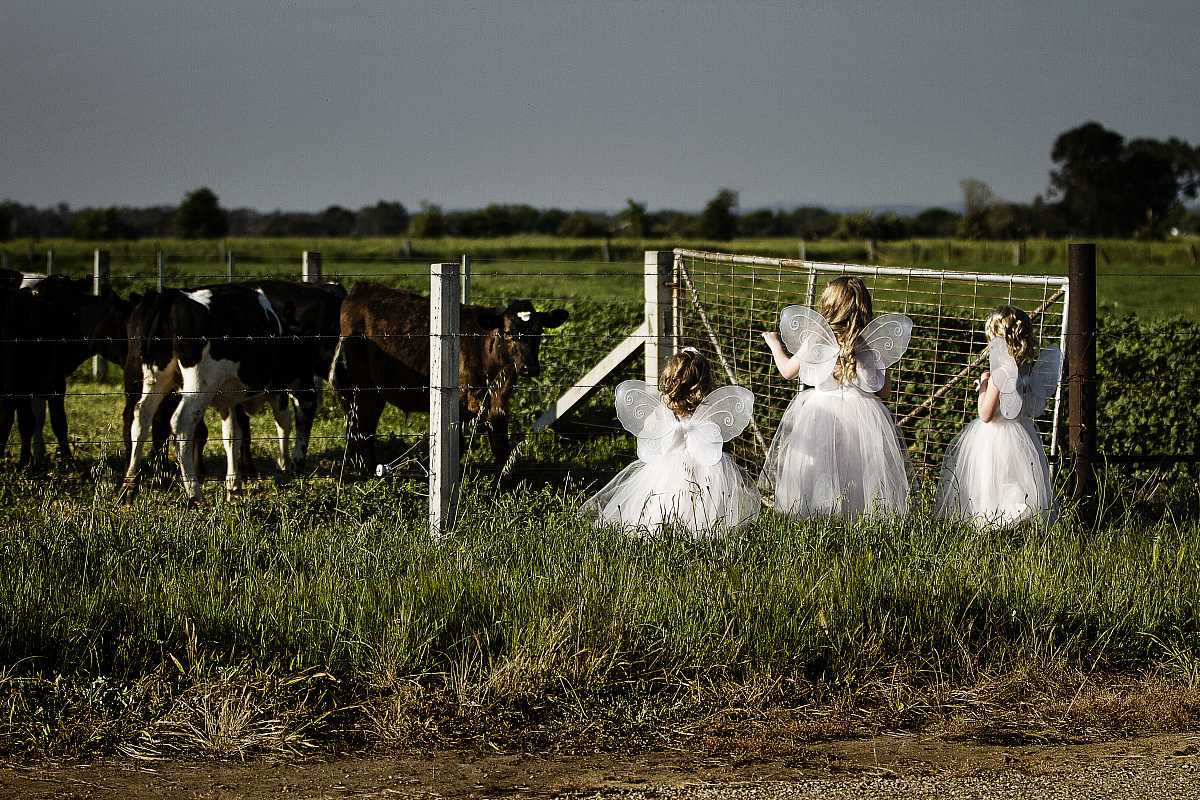Eliza and Troy's Brown Brothers Winery Wedding  | Milawa Wedding Photographers | 0515.jpg