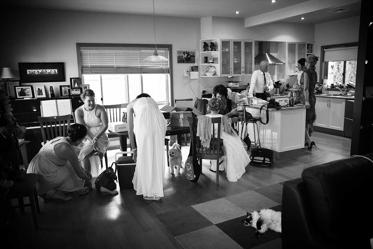 Kelsey & Bradley’s Wedding at Feathertop Private Estate | Porepunkah / Bright Wedding Photographers | 0062a.jpg