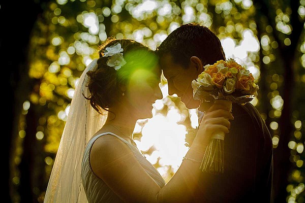 Sara and Christian's Albury Botanic Gardens Wedding | Albury Wedding Photographers