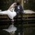 Jodie & Leigh’s Wedding in Harrietville | Harrietville Wedding Photographers | 0559.jpg