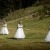 Emma and Clint's wedding at the Mitta Mitta Pub | Mitta Mitta wedding photographers  | 00164.jpg