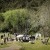 Emma and Clint's wedding at the Mitta Mitta Pub | Mitta Mitta wedding photographers  | 00193.jpg