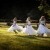 Emma and Clint's wedding at the Mitta Mitta Pub | Mitta Mitta wedding photographers