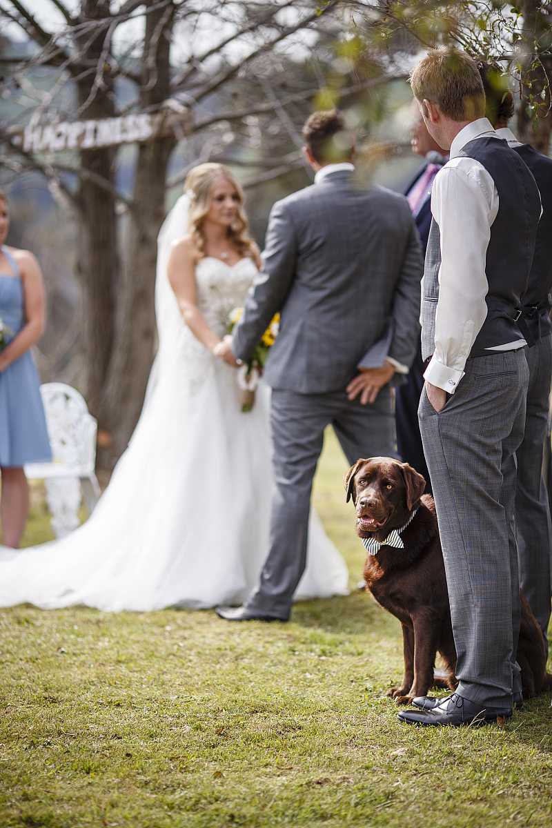 Jenna and Jamie's Peregrines Table Top Wedding | Albury Wedding Photographers | 00278.jpg