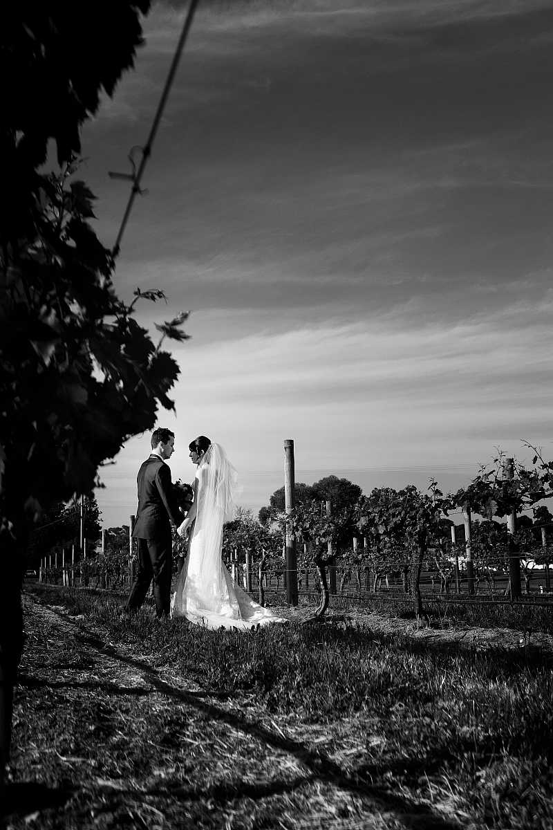Natasha and David's at De Bortoli Wines | Rutherglen Wedding Photographers  | 00437.jpg