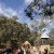 Jacqueline & Jarratt's Peregrines Table Top Mountain Wedding | Albury Wedding Photographers | 00358.jpg