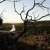 Milina and Grant's Peregrines at table Top Wedding | Albury Wedding Photographers | 16.04.2011.00533.jpg