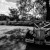 Cherie & Nicholas Gypsy Gardens Wedding | Albury Wedding Photographers  | 00524.jpg