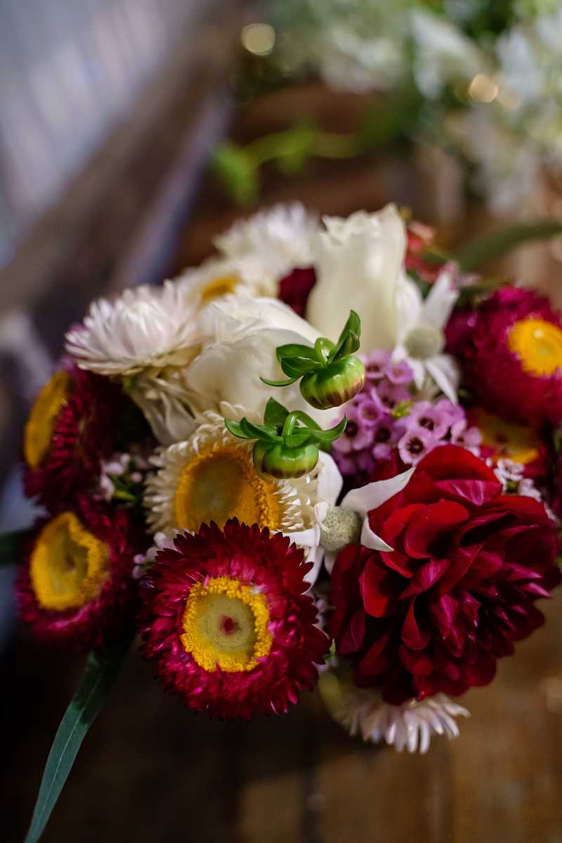 Megan and Daniel's wedding at Brown Brothers Winery, Milawa | Milawa Wedding Photographers | 00817.jpg