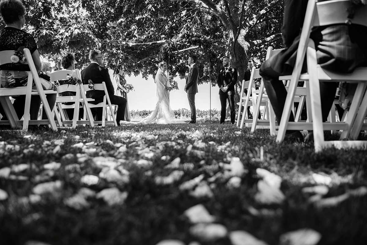 Megan and Daniel's wedding at Brown Brothers Winery, Milawa | Milawa Wedding Photographers | 00324.jpg