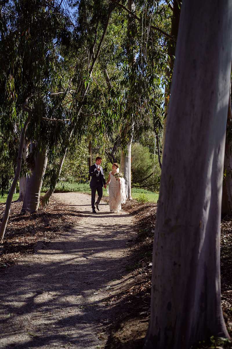 Megan and Daniel's wedding at Brown Brothers Winery, Milawa | Milawa Wedding Photographers | 00625.jpg