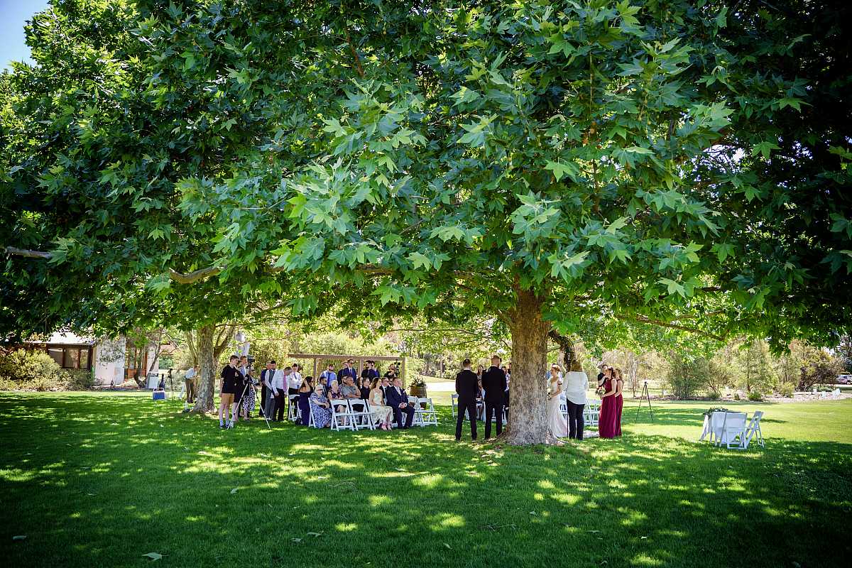 Megan and Daniel's wedding at Brown Brothers Winery, Milawa | Milawa Wedding Photographers | 00315.jpg