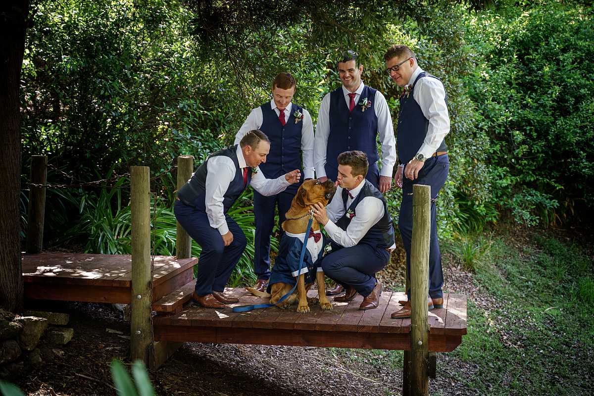 Jemma & Belamy's Wedding at Beneagle Farm | Yackandandah wedding photographers | 00562.jpg