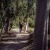 Megan and Daniel's wedding at Brown Brothers Winery, Milawa | Milawa Wedding Photographers | 00625.jpg