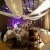 Amiee and Daniel's Wedding at Remel 185 | Whorouly wedding Photographers  | 01132.jpg