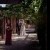 Megan and Daniel's wedding at Brown Brothers Winery, Milawa | Milawa Wedding Photographers | 00293.jpg
