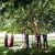Megan and Daniel's wedding at Brown Brothers Winery, Milawa | Milawa Wedding Photographers | 00422.jpg