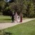 Megan and Daniel's wedding at Brown Brothers Winery, Milawa | Milawa Wedding Photographers | 00290.jpg
