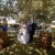 Joanna and Scott's Wedding at Brown Brothers Winery Milawa  | Milawa Wedding Photographers | 00422.jpg