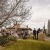 Ebony and James's  Wedding at Remel 185  | Whorouly wedding Photographers  | 00419.jpg