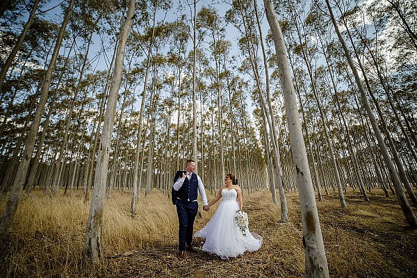 Joanna and Scott's Wedding at Brown Brothers Winery Milawa | Milawa Wedding Photographers