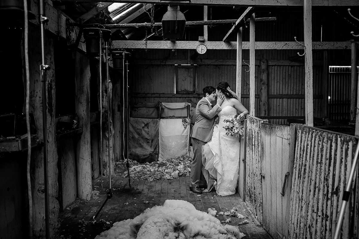 Zoe & Kat’s Wedding at Orange Grove Gardens | Culcairn Wedding Photographers | AS107110.jpg