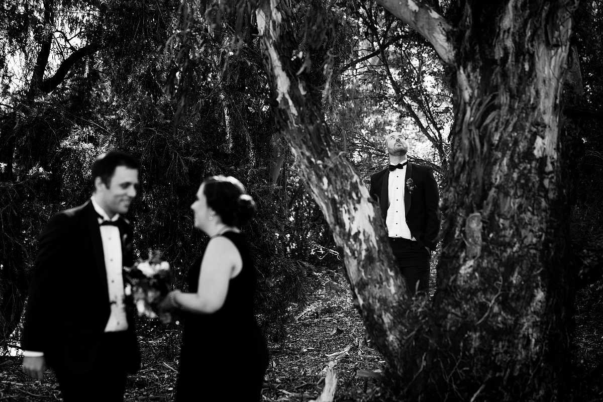 Beth and Josh's Wedding at Brown Brothers Winery Milawa  | Milawa Wedding Photographers | 00598.jpg
