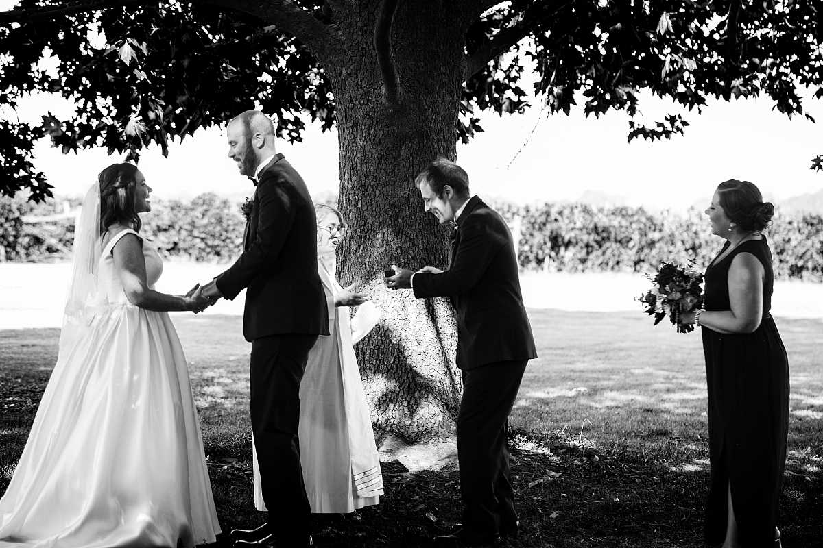 Beth and Josh's Wedding at Brown Brothers Winery Milawa  | Milawa Wedding Photographers | 00383.jpg