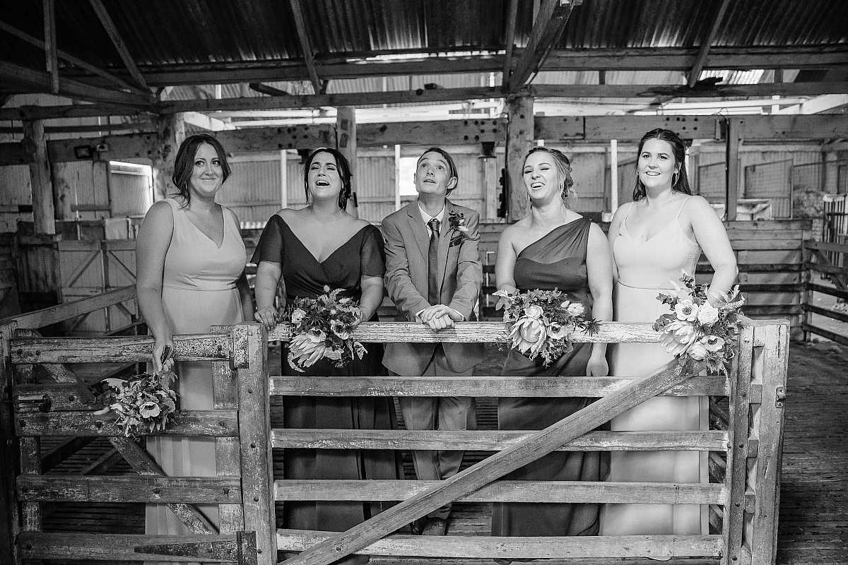 Zoe & Kat’s Wedding at Orange Grove Gardens | Culcairn Wedding Photographers | 00733.jpg
