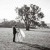 Emily and Jake's Wedding at Peregrine's Table Top Mountain | Albury wedding Photographers | 00813.jpg