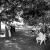 Beth and Josh's Wedding at Brown Brothers Winery Milawa  | Milawa Wedding Photographers | 00370.jpg