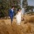 Catherine & David’s Wedding at Gapsted Estate | Gapsted Wedding Photographers | 00716.jpg