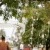 Alex and Anthony's Wedding at Deniliquin Boat Club | Deniliquin wedding Photographers | 00874.jpg