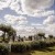 Jessica & Andrew’s Wedding at De Bortoli Wines | Rutherglen Wedding Photographers  | AS104021.jpg