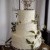 Zoe & Kat’s Wedding at Orange Grove Gardens | Culcairn Wedding Photographers | 00864.jpg